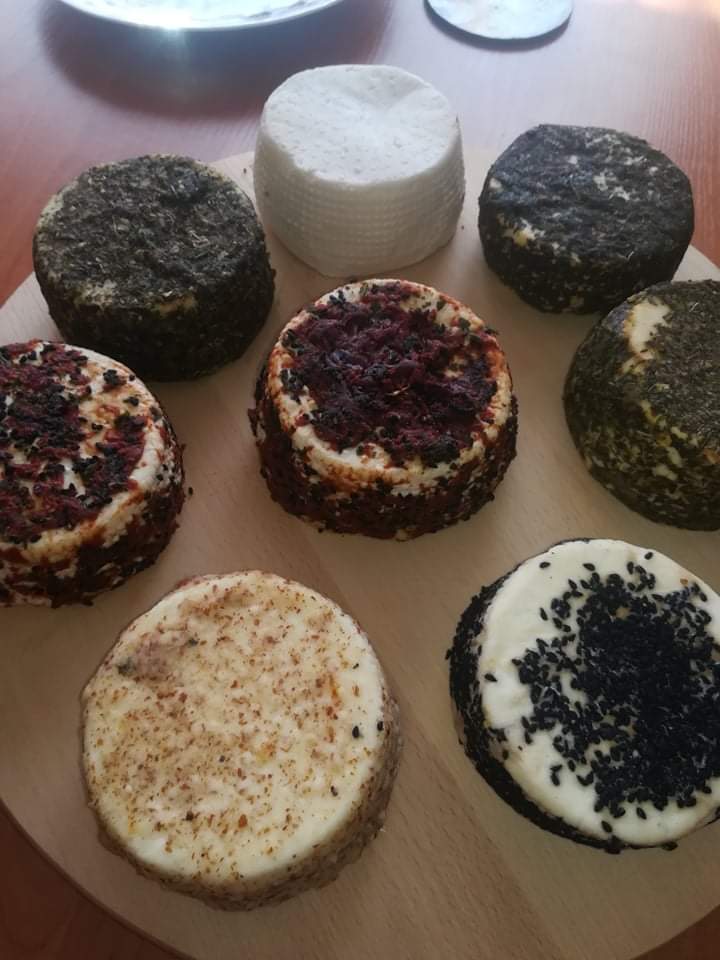 Zdjęcie gospodarstwa – Mleko krowie i produkty