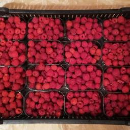 Zdjęcie gospodarstwa – Gospodarstwo Państwa Kowalskich