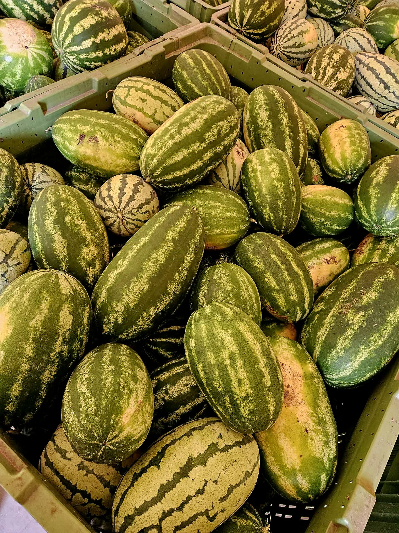 Gospodarstwo Rolne Hubert Pejka