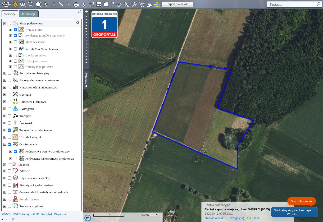 Sprzedam 6,50 ha ziemi rolnej – Wępiły, gm. Raciąż – 499 000 zł
