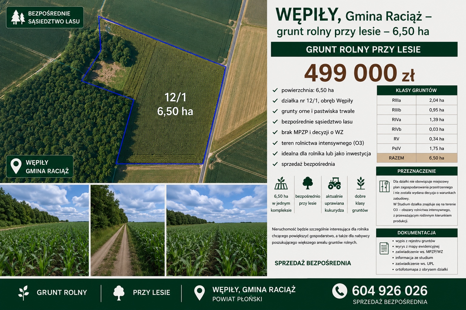 🌾 Sprzedam 6,50 ha ziemi rolnej — Wępiły, gm. Raciąż
